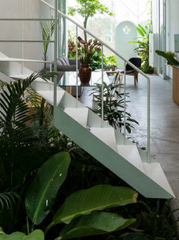Plantscaping para projetos em Design de Interiores
